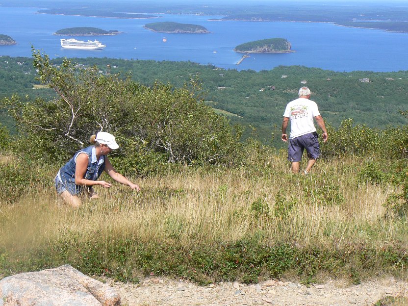 161-more blueberries.jpg